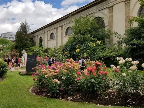   Jardin des Plantes:  A Tapestry of Botanical Lore and Persian Wisdom